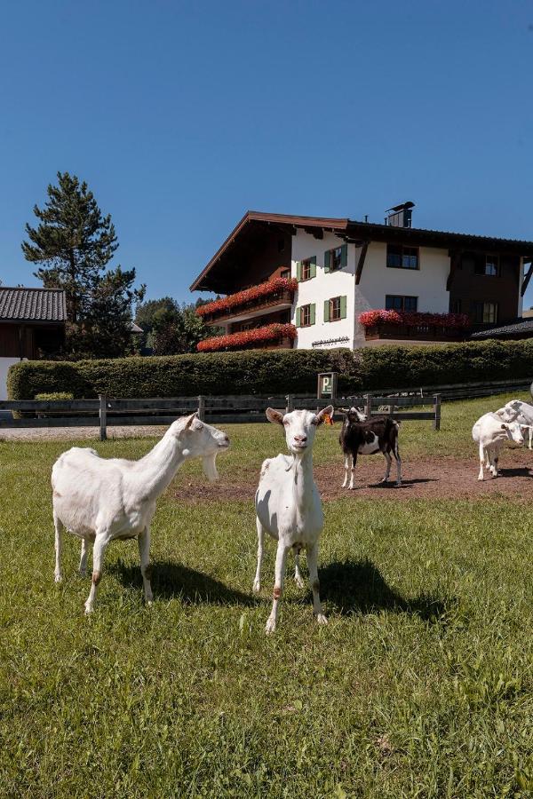 Gaestehaus Bramboeck Bad Häring Εξωτερικό φωτογραφία